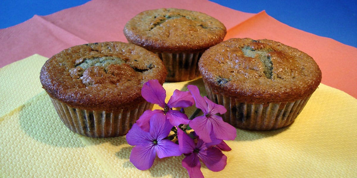 Heidelbeer Muffin Rezept